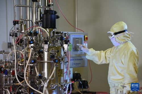 沈陽 培育醫藥及醫療裝備產業 激活振興發展新動能