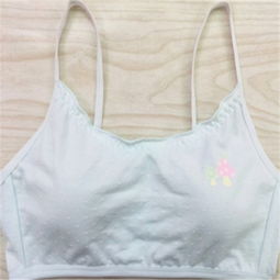 阿卡麗內(nèi)衣加盟 投資前景與加盟費(fèi)用解析